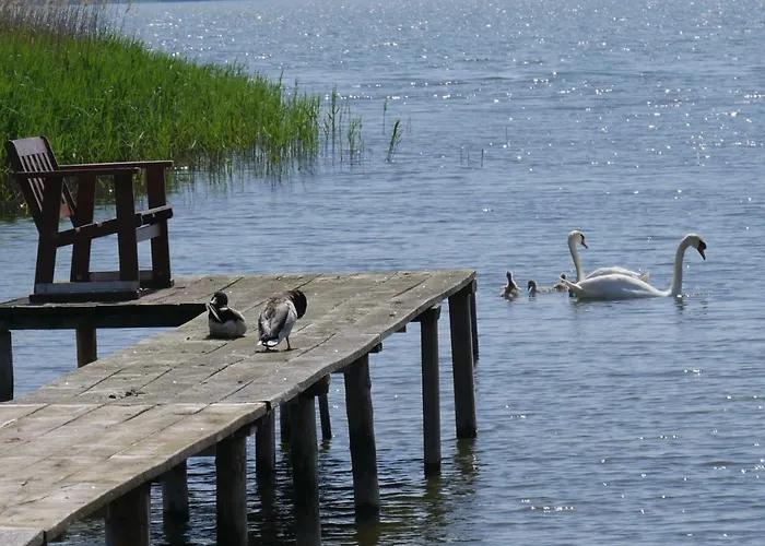 Floating Comfort - Schwimmende - Haus 7 Ferienhaus